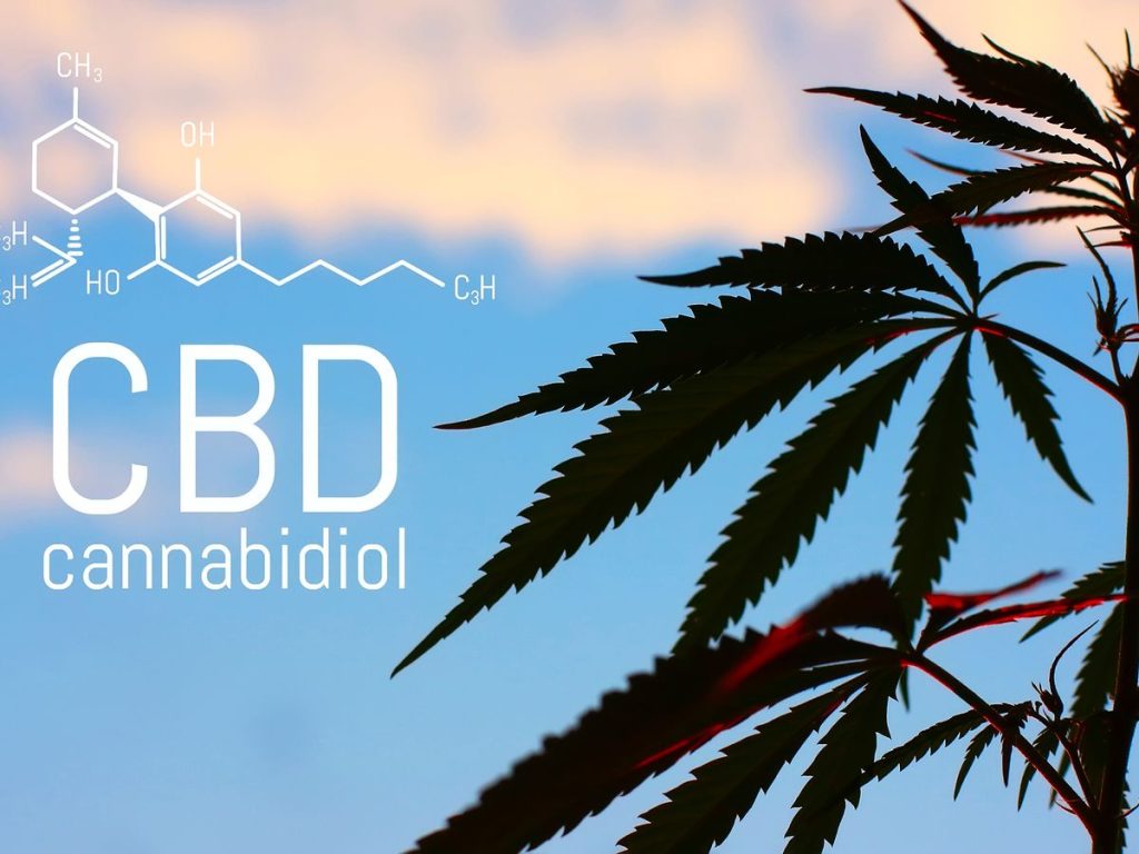 CBD Oil