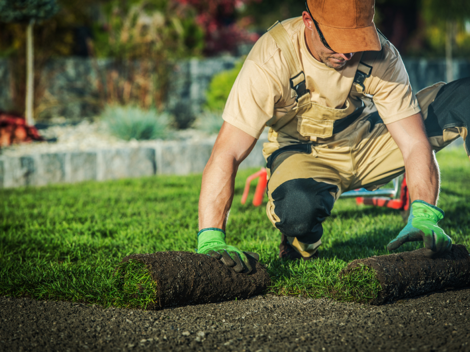 seo services for landscaping
