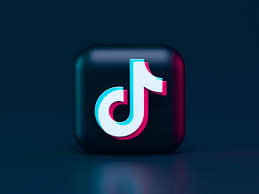 TikTok Video Downloader 